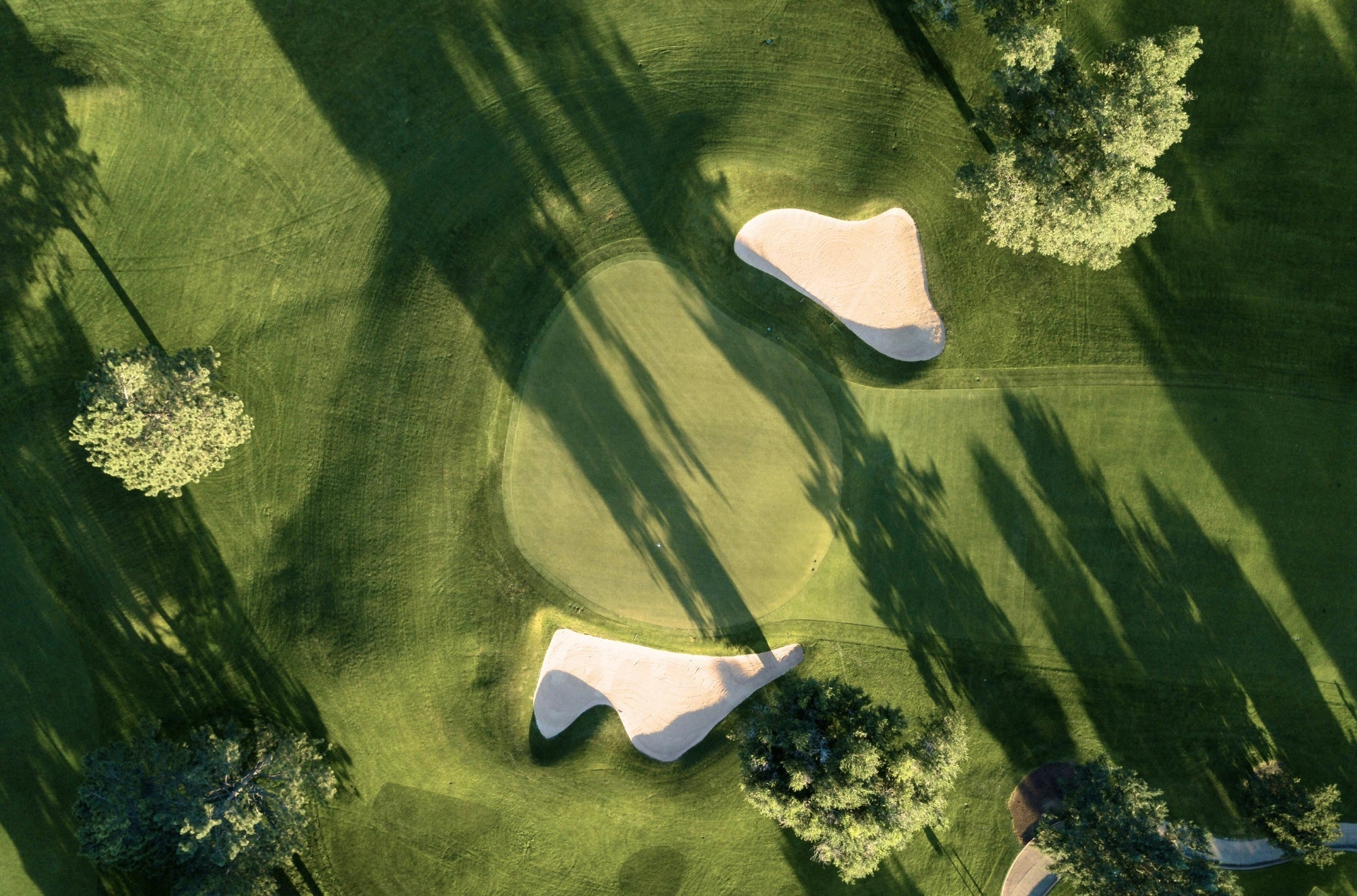 Golf Courses. Man standing with golf club on golf course. 