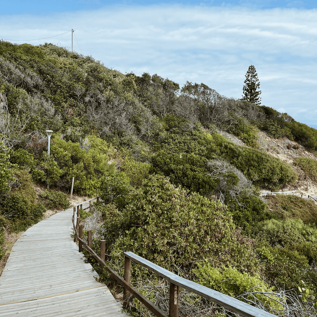 Sedgefield Lagoon & Beach