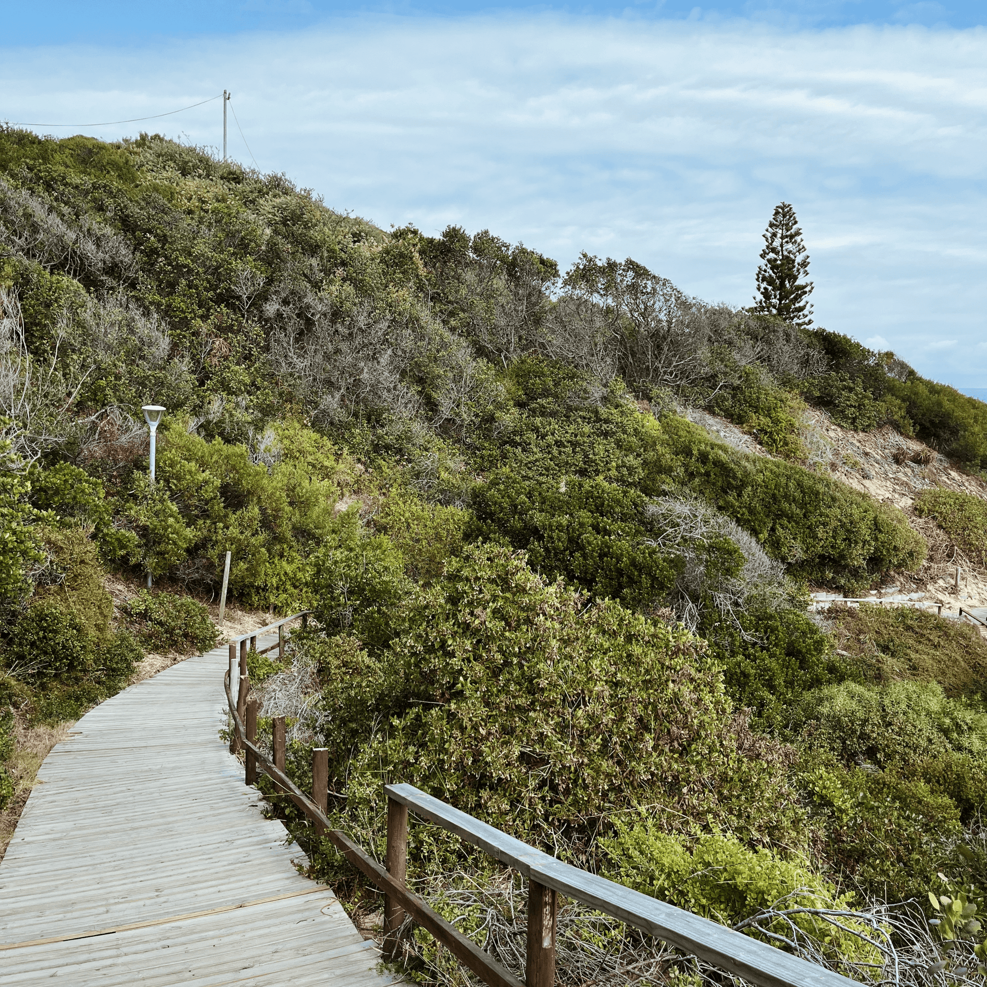 Sedgefield Lagoon & Beach