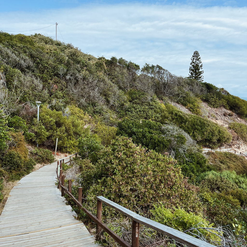Sedgefield Lagoon Mouth