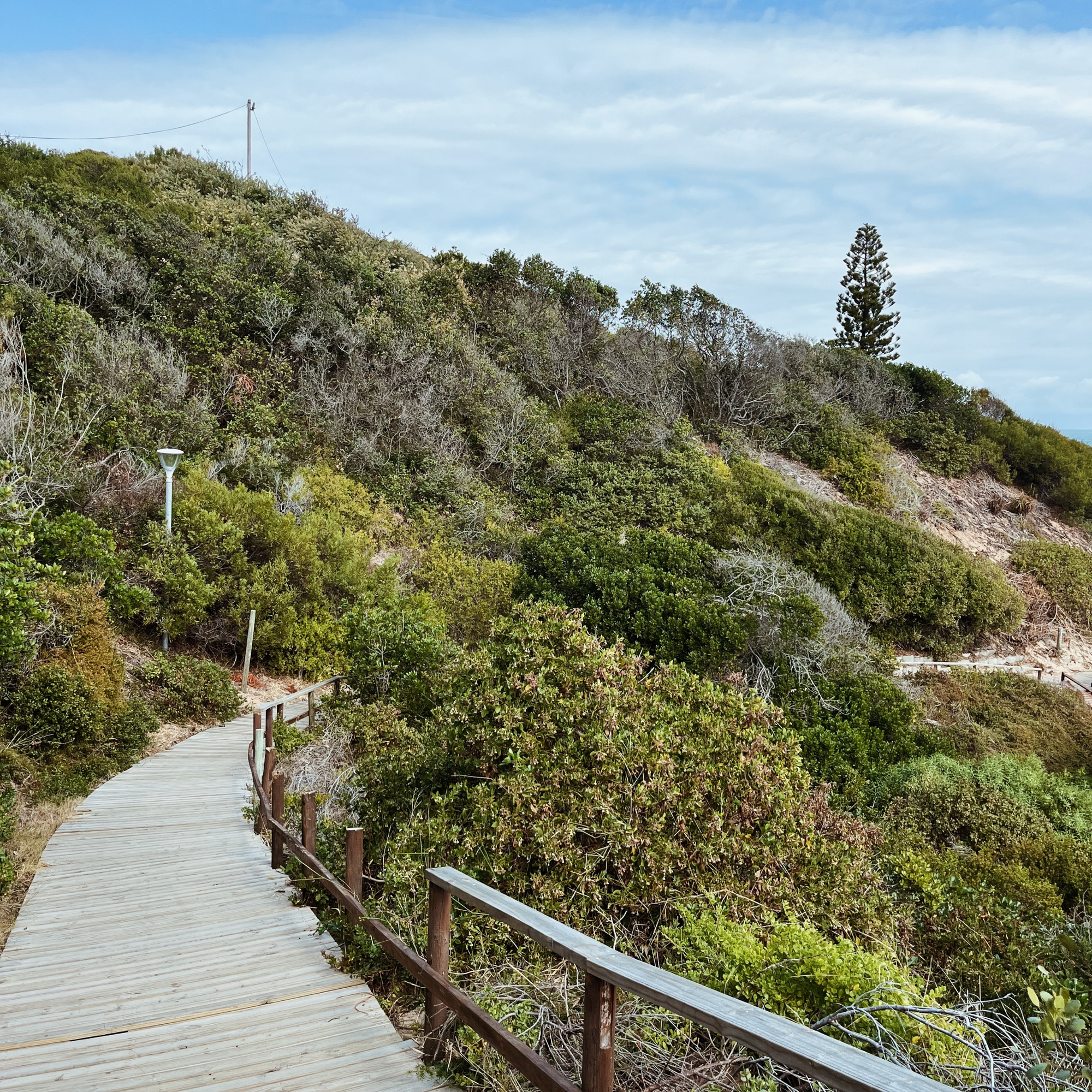 Sedgefield Lagoon Mouth