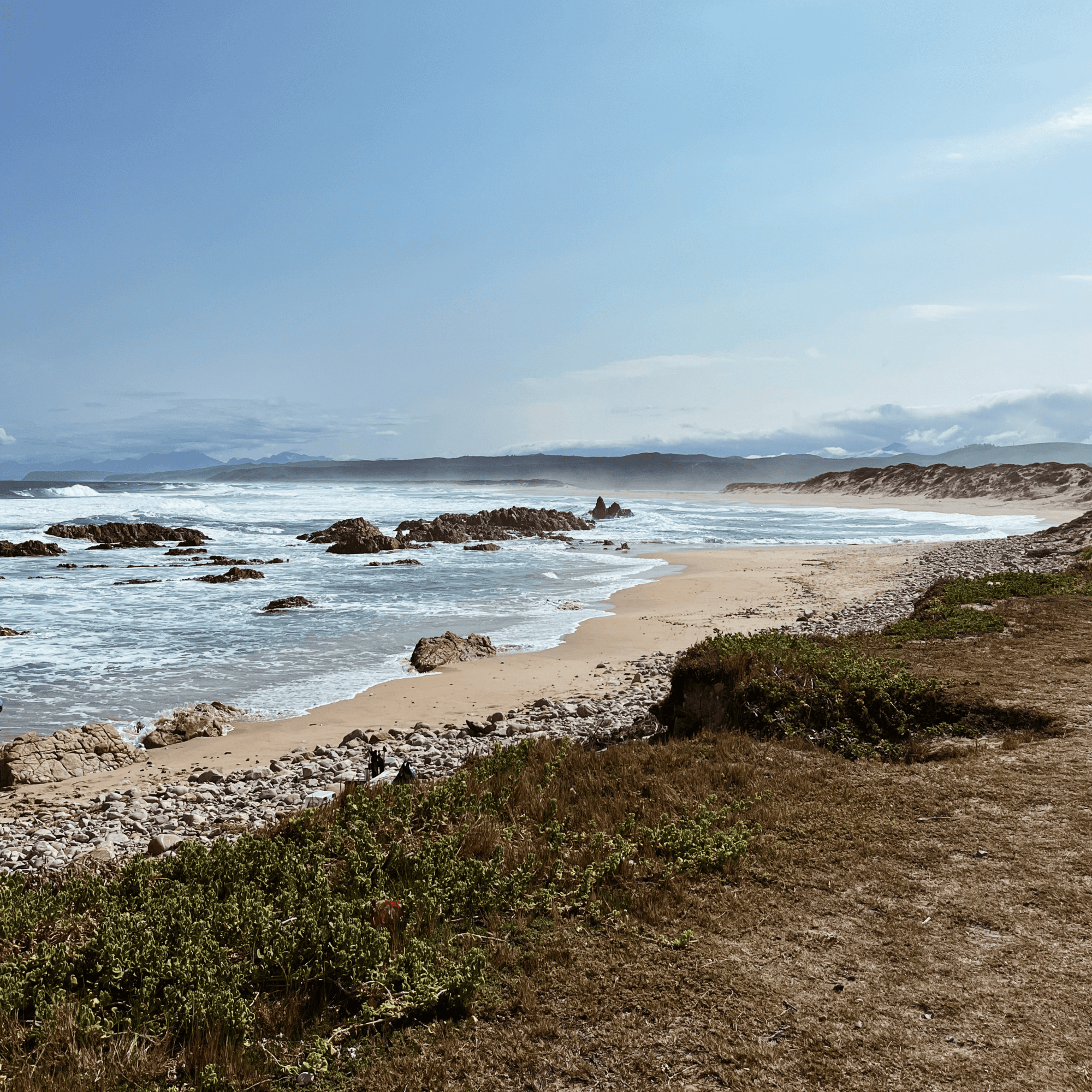 Buffels Bay Wild Side