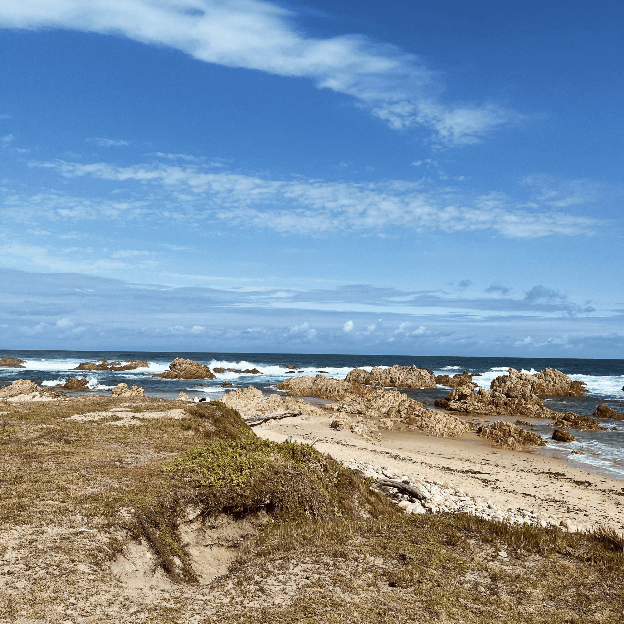 Buffels Bay Wild Side