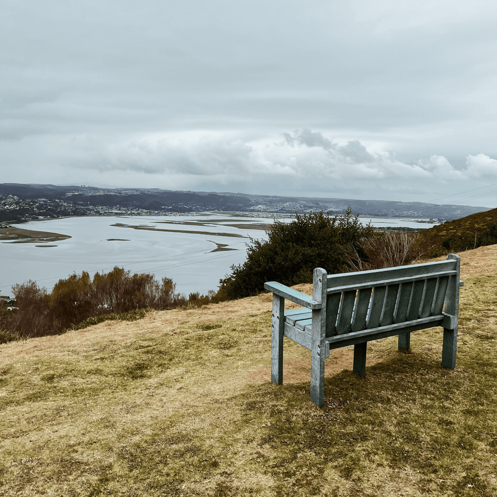 Margaret's Viewpoint