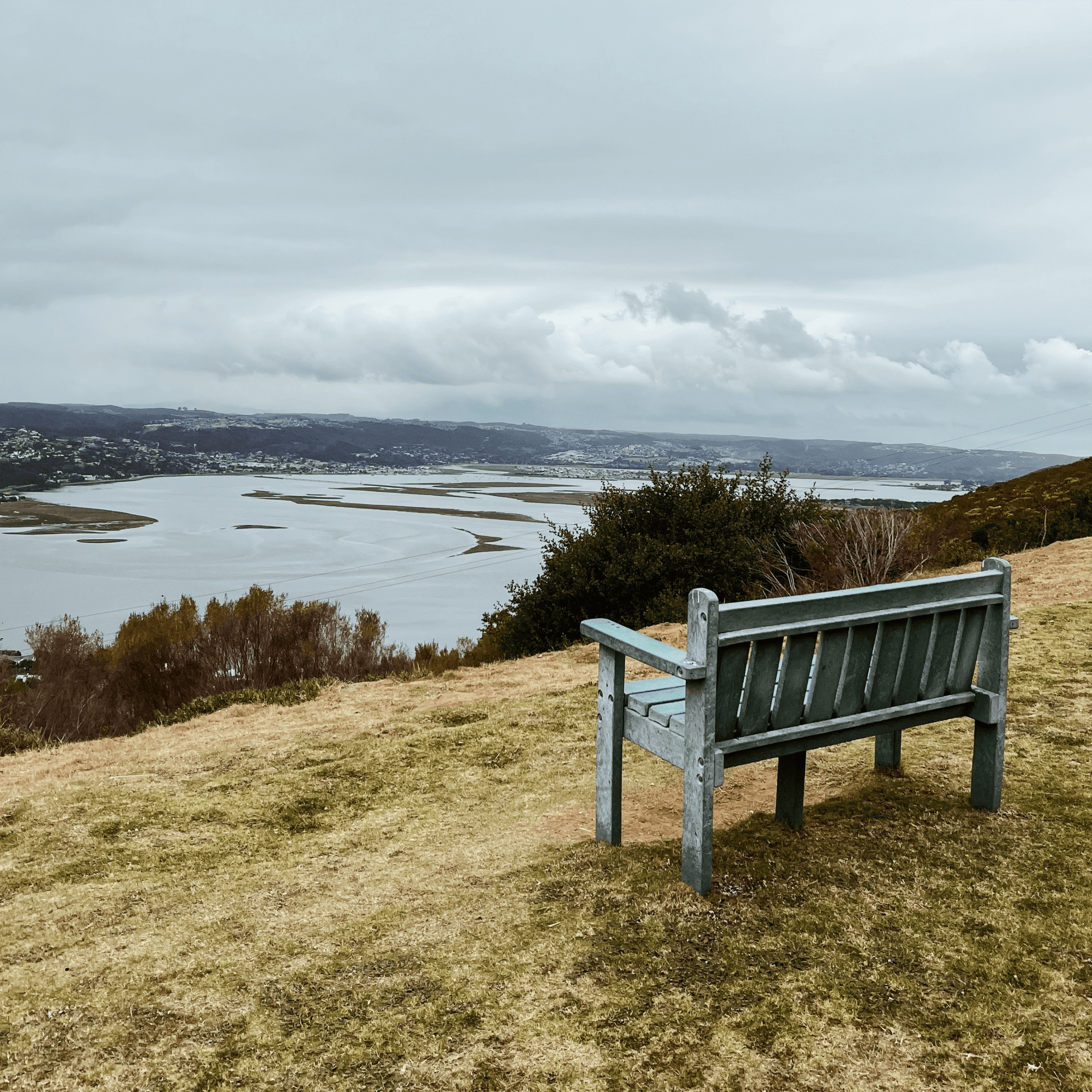 Margaret's Viewpoint