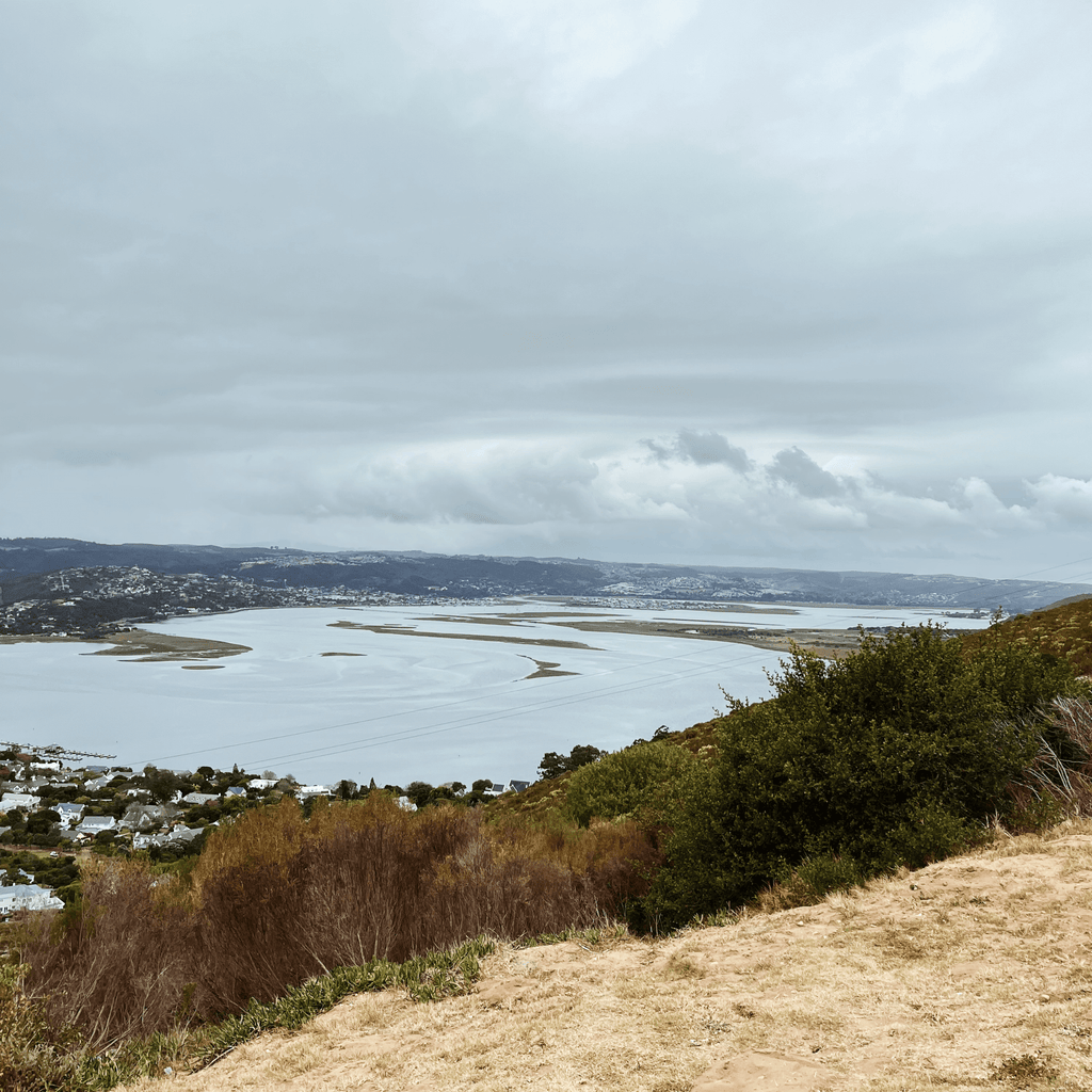 Margaret's Viewpoint