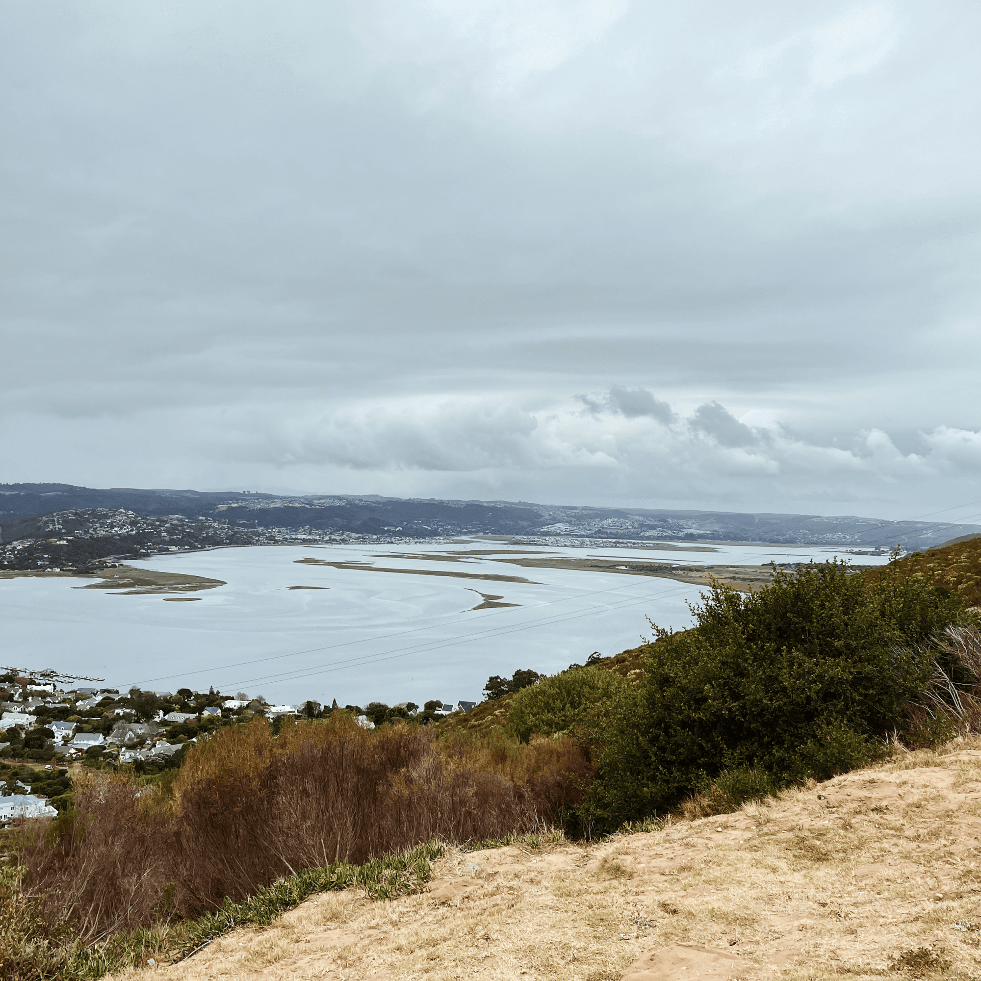 Margaret's Viewpoint
