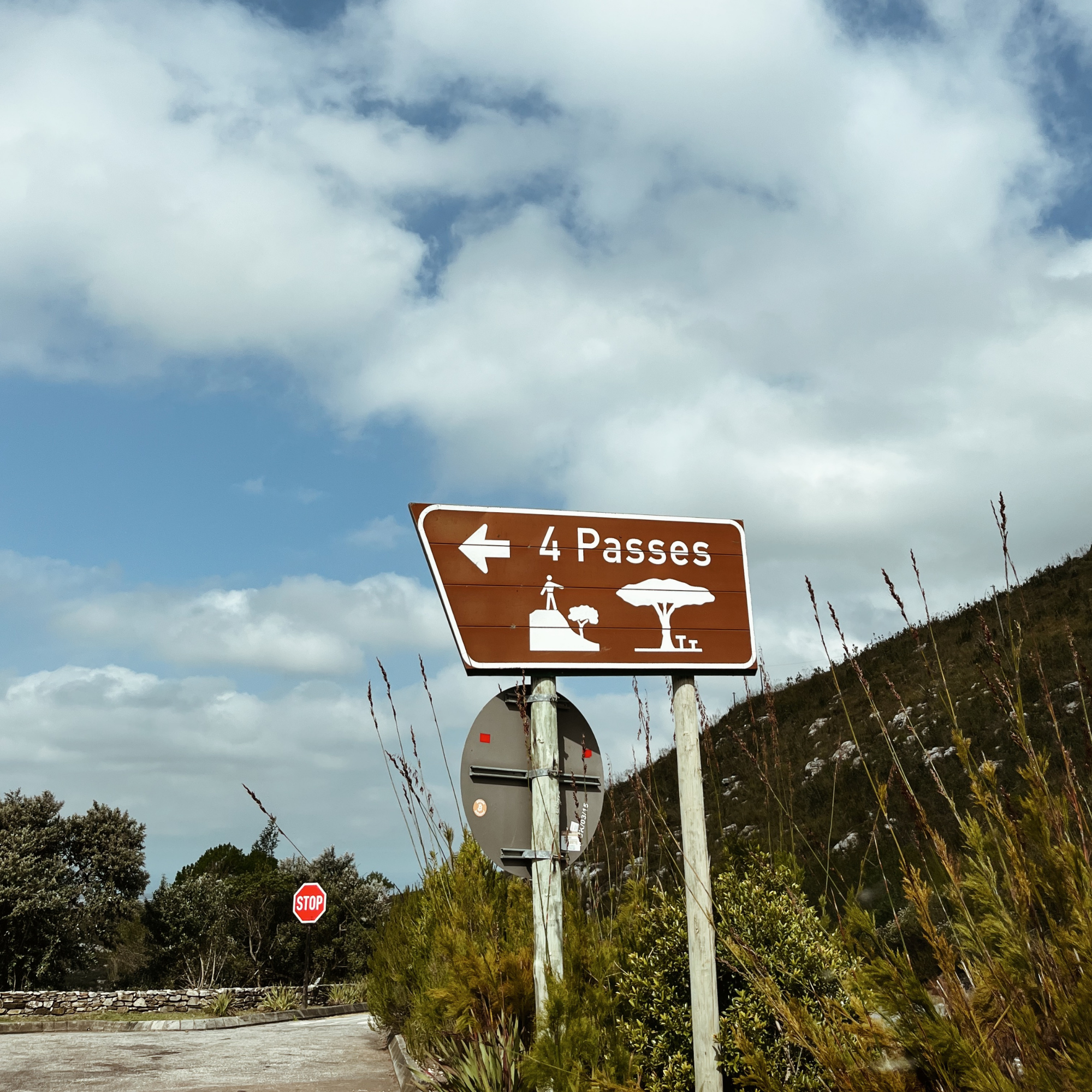 4 Passes Viewpoint
