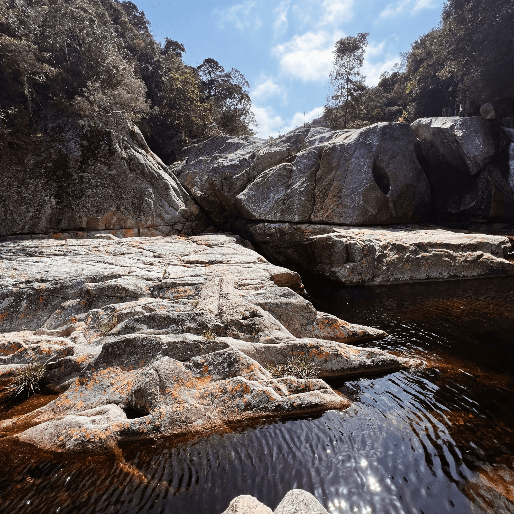 Kingfisher Trail