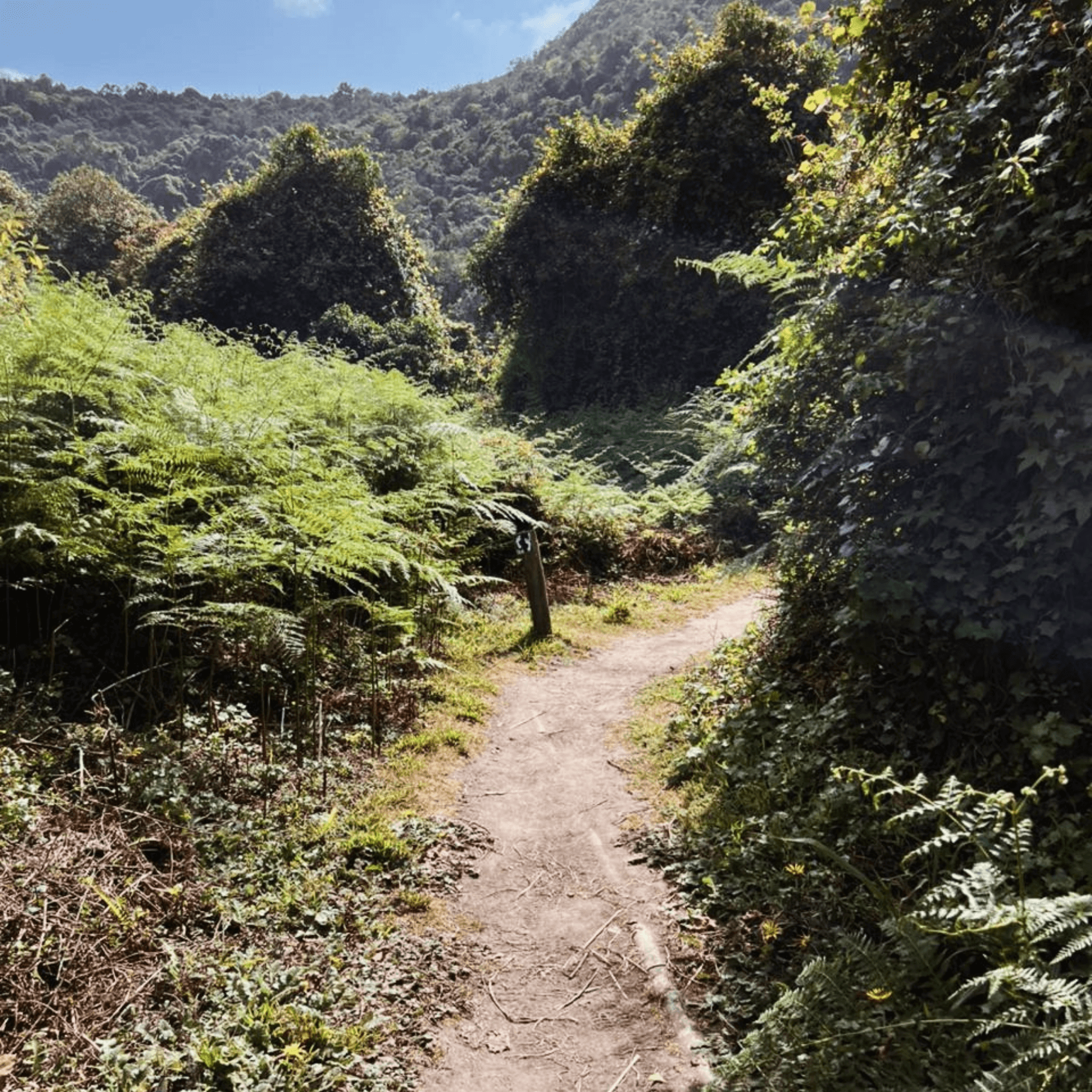 Kingfisher Trail