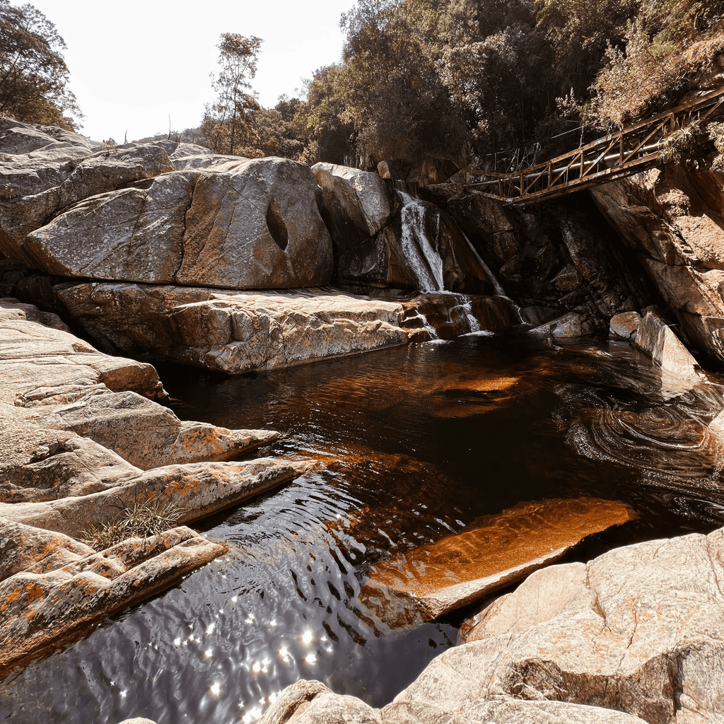 Kingfisher Trail
