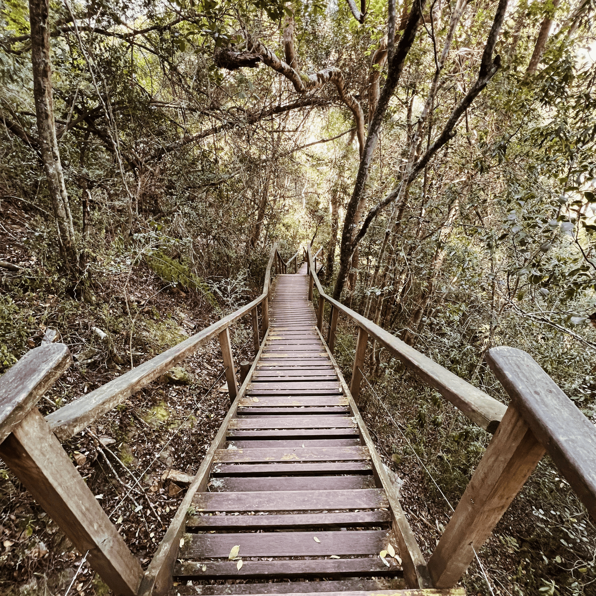 Kingfisher Trail
