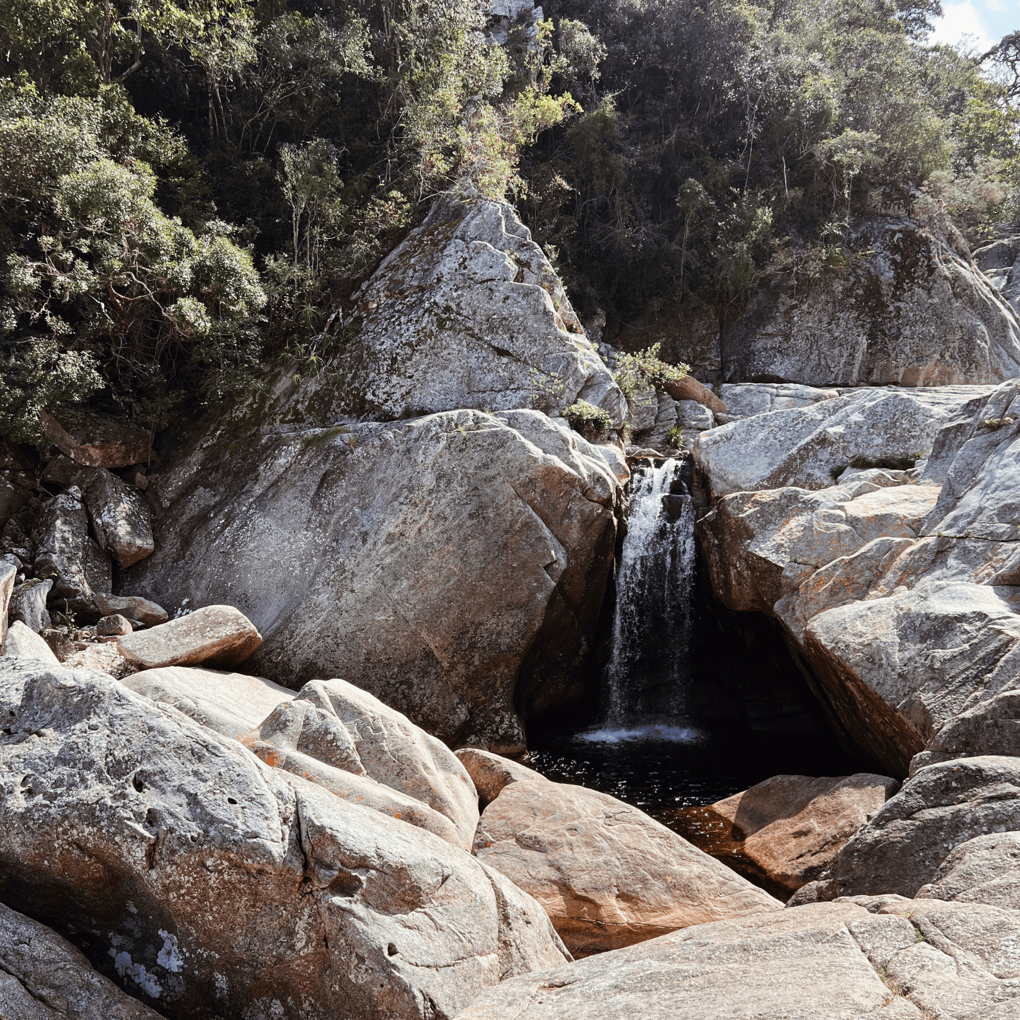 Kingfisher Trail