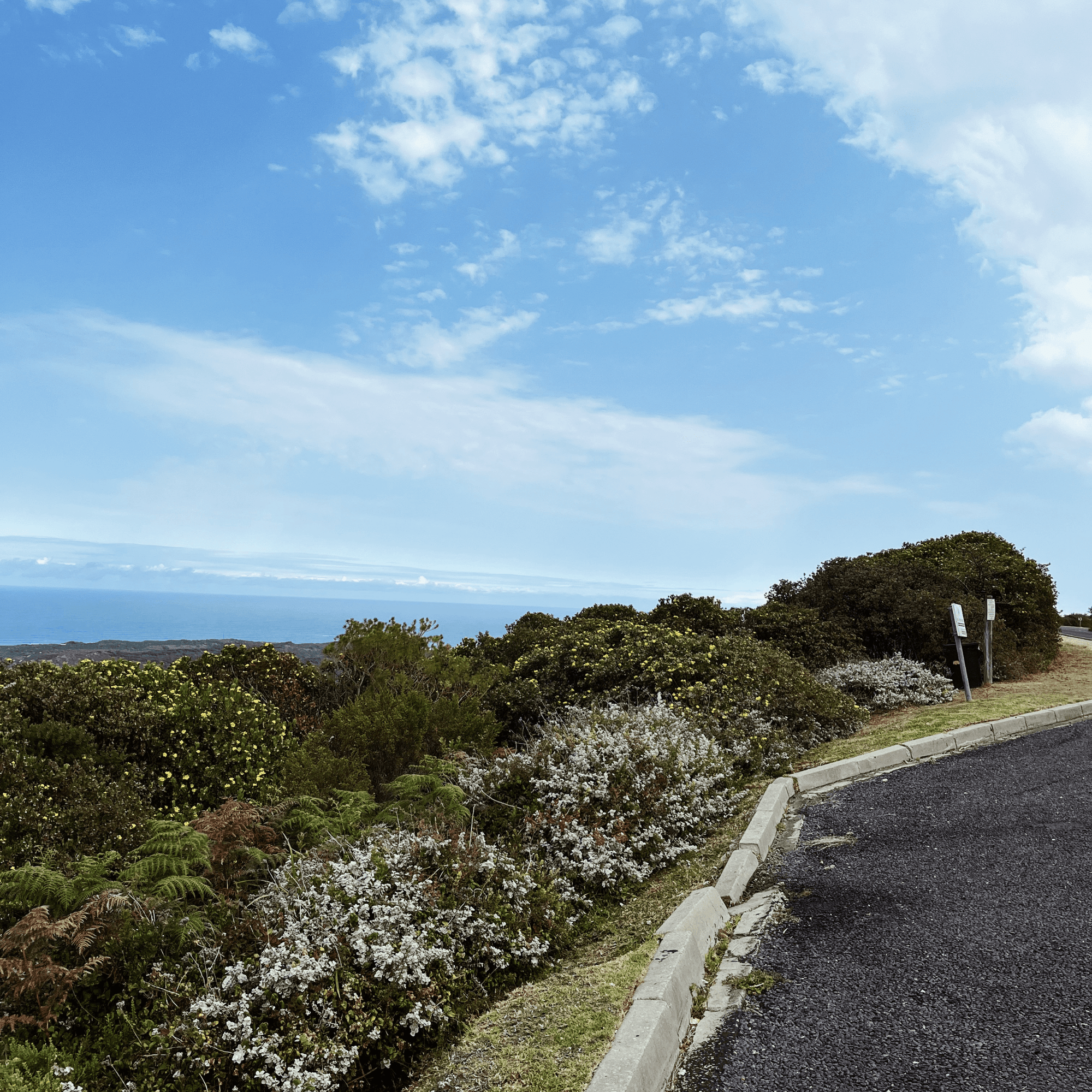 Whale Spotters Viewpoint