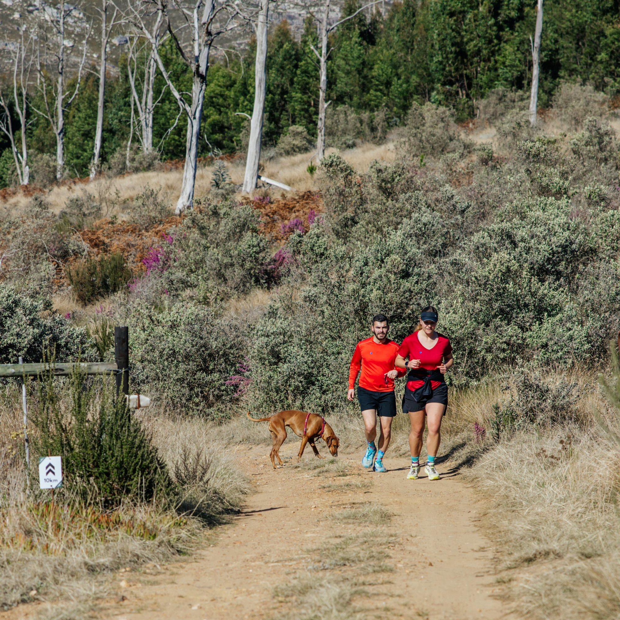 Farm Fit Trail Run/Hike