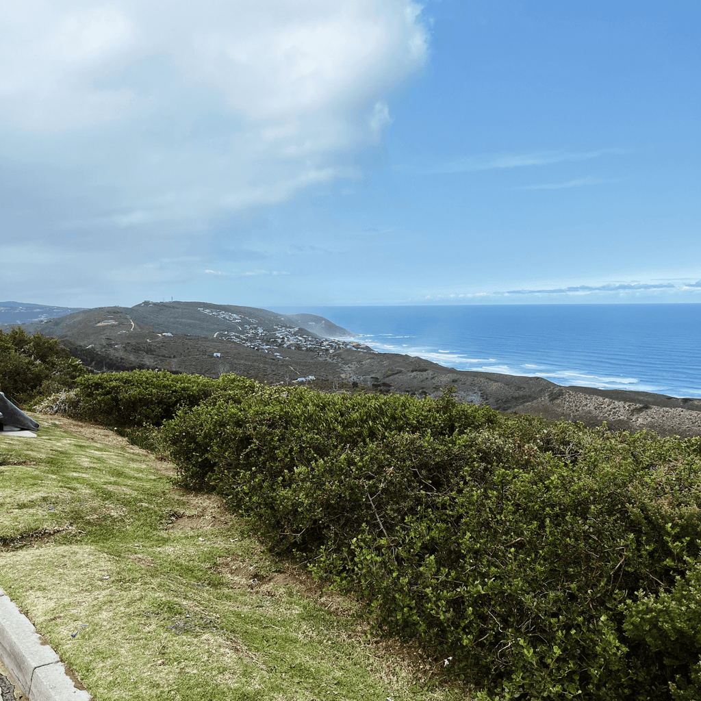 Whale Spotters Viewpoint