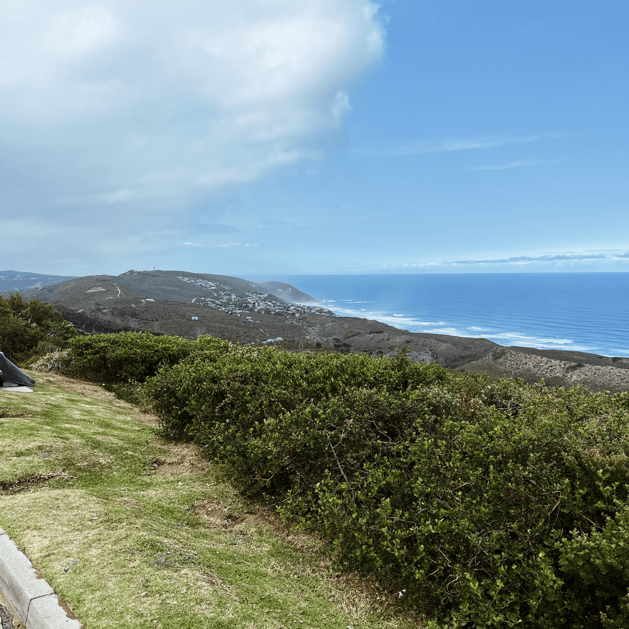 Whale Spotters Viewpoint