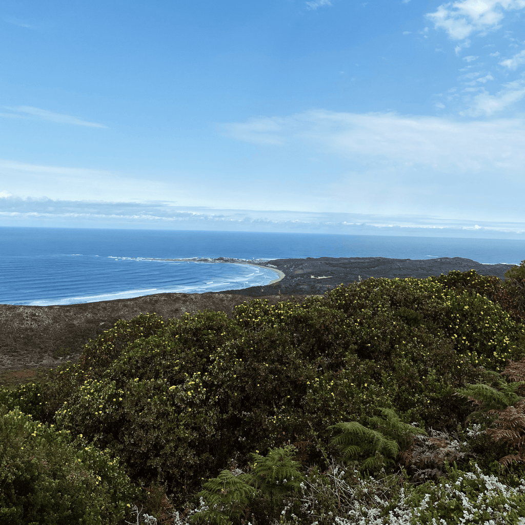 Whale Spotters Viewpoint