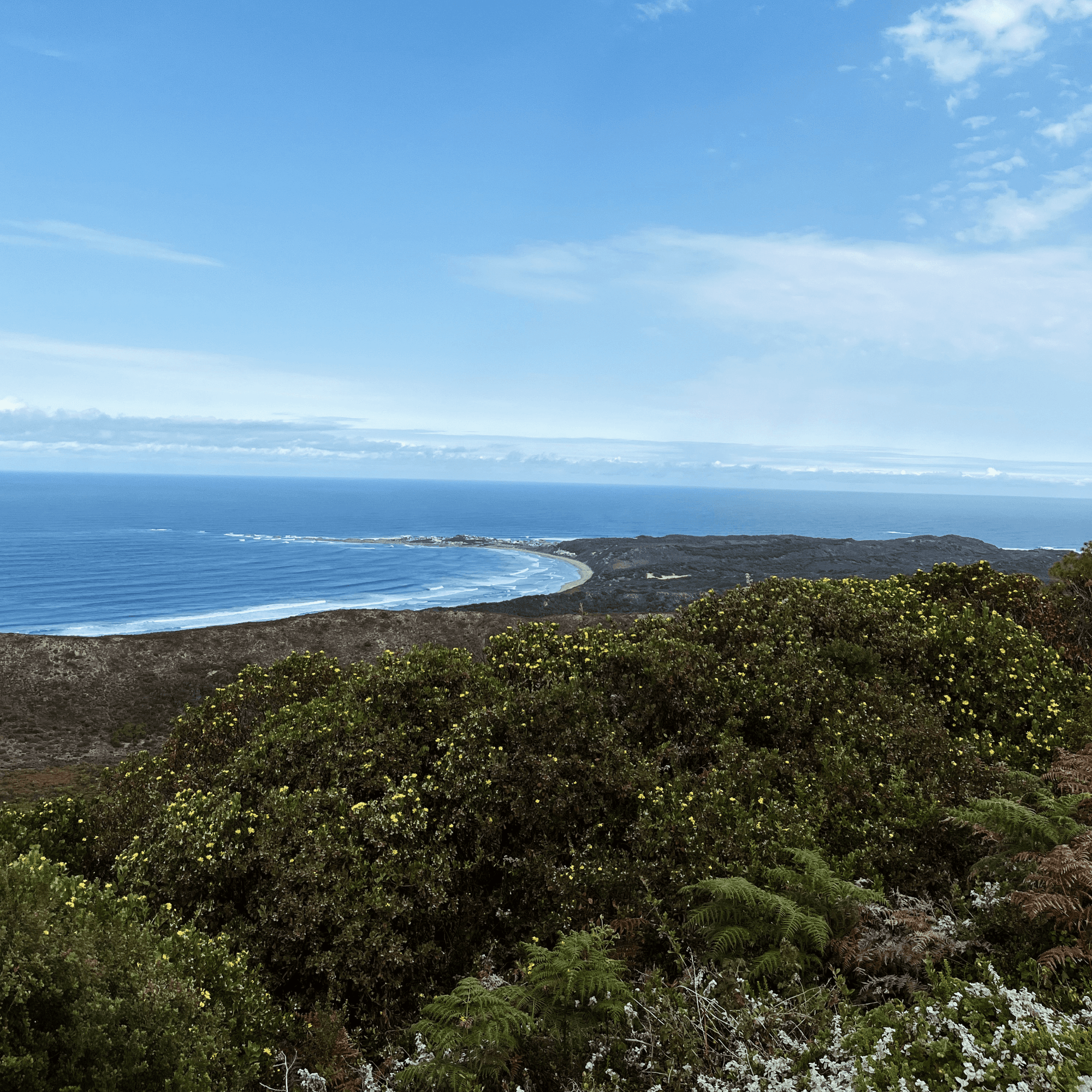 Whale Spotters Viewpoint