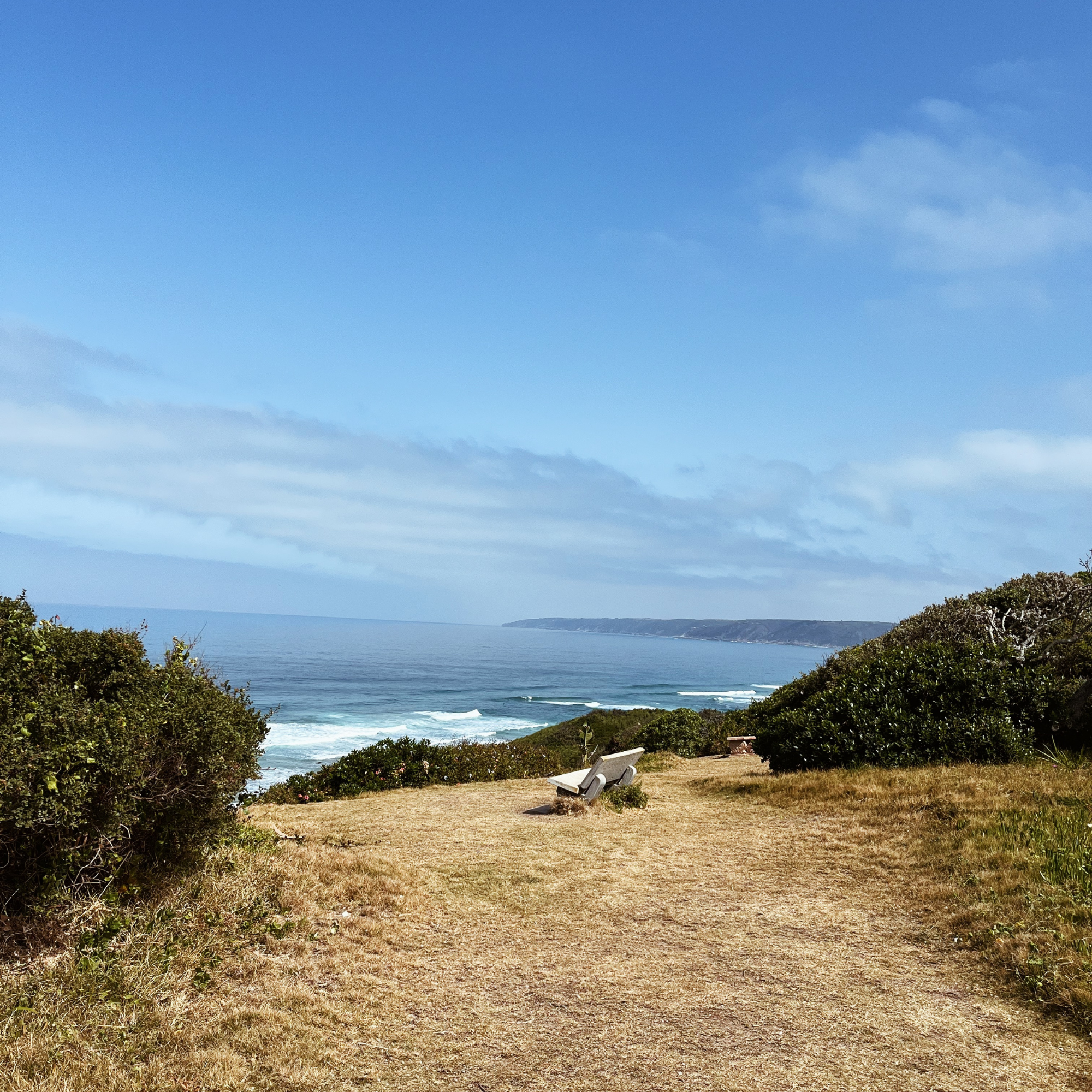 Whales Way Viewpoint