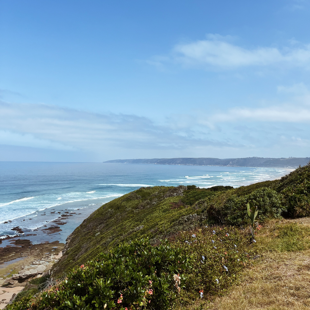 Whales Way Viewpoint