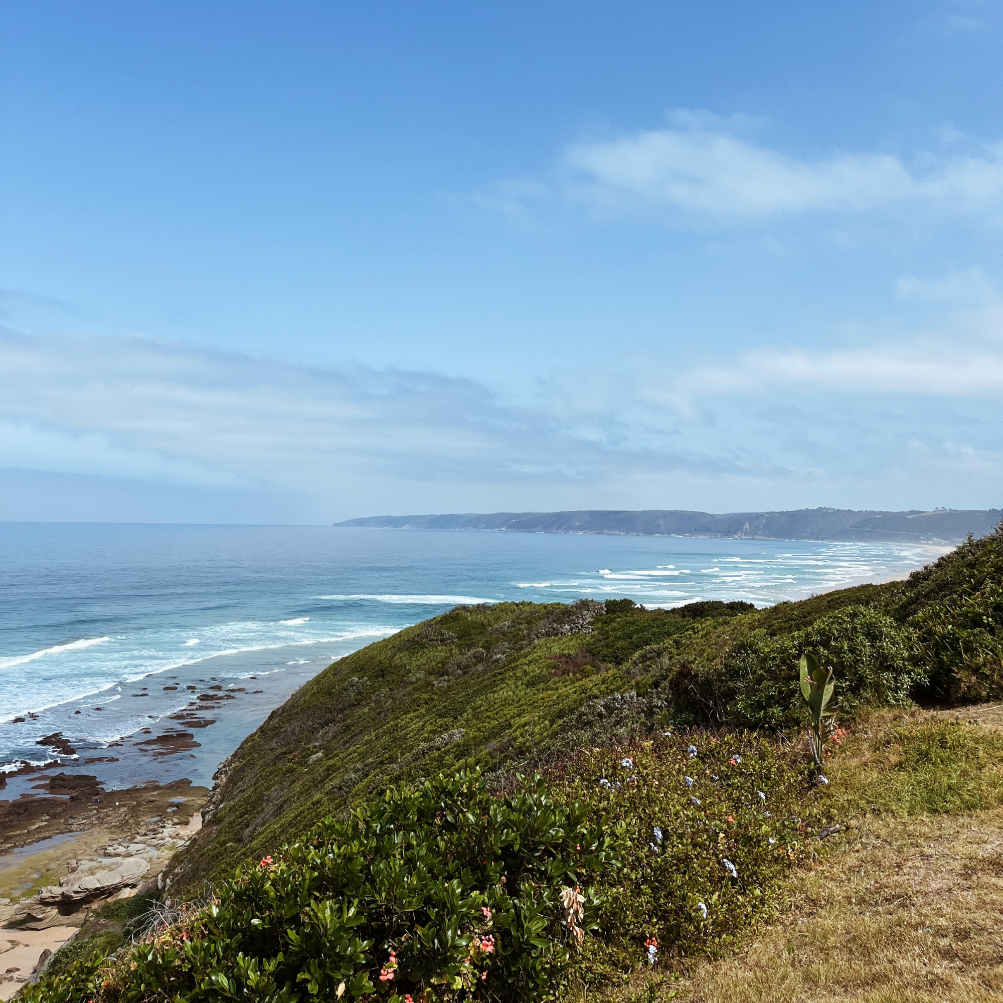 Whales Way Viewpoint