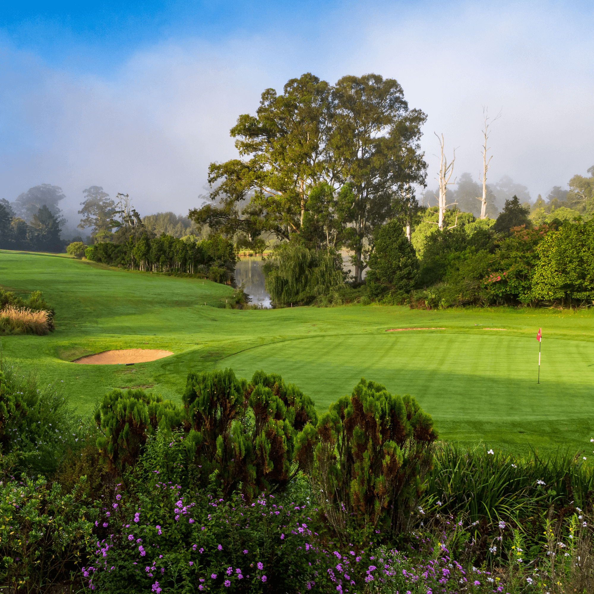 George Golf Club