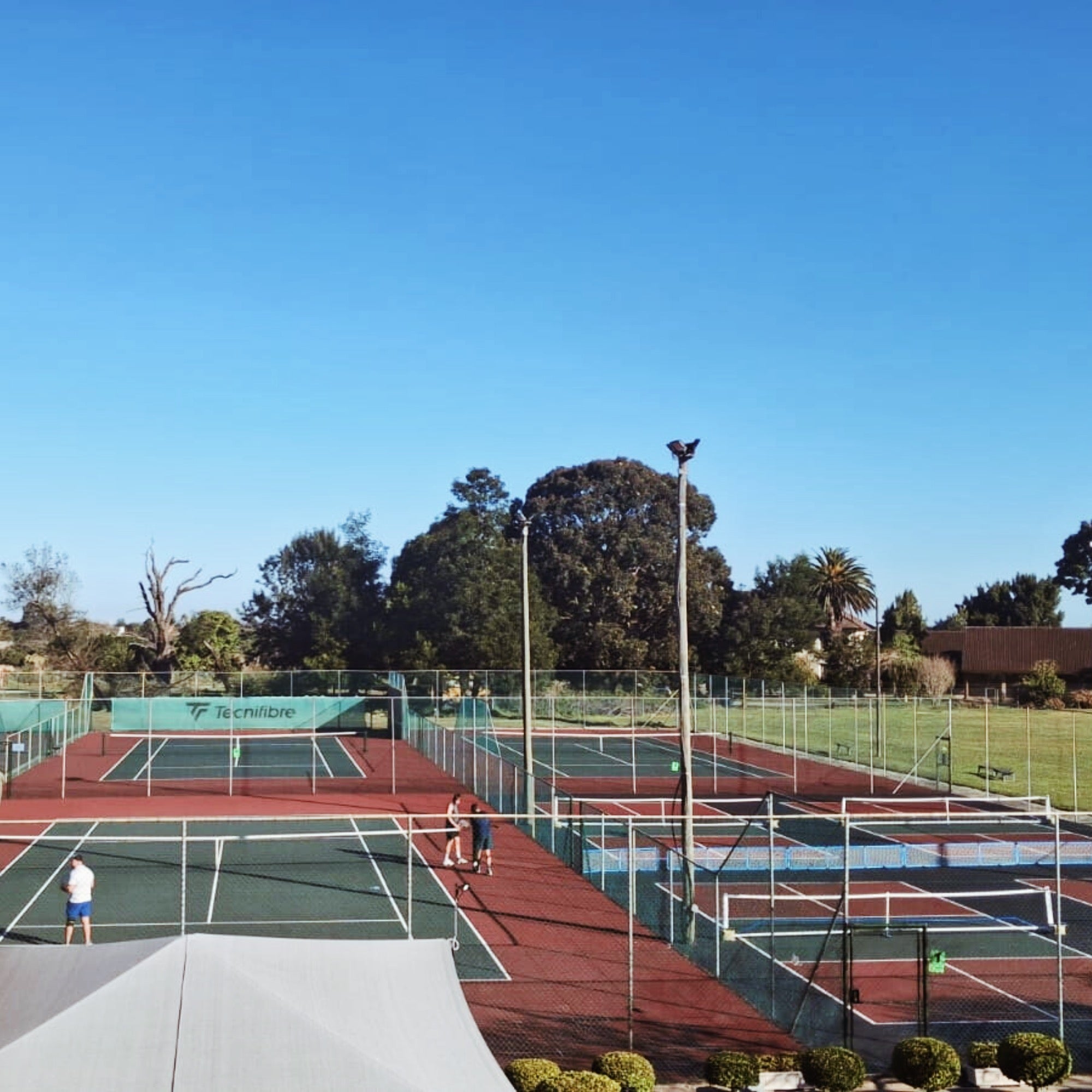 George Tennis Club & Pickleball