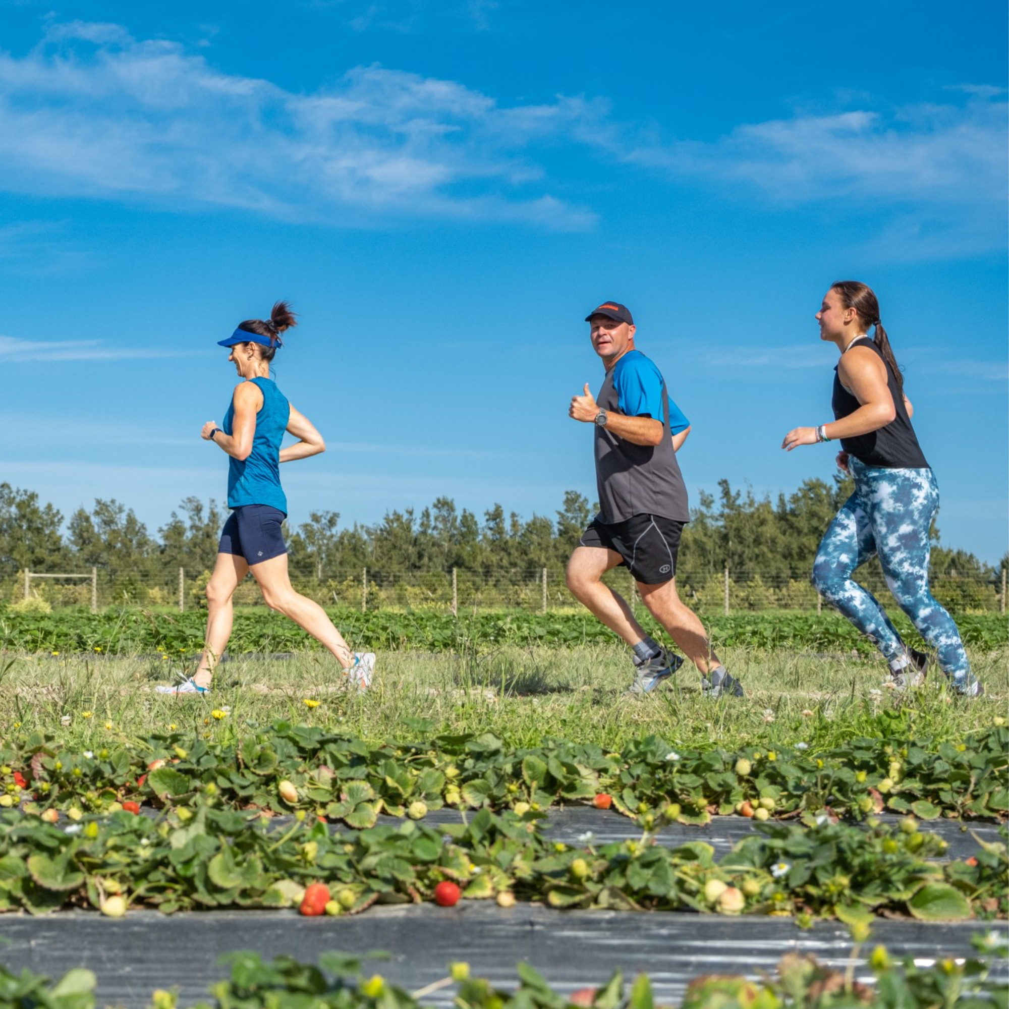 Three people running on a grassy field with strawberry plants under a clear blue sky. Redberry farm.