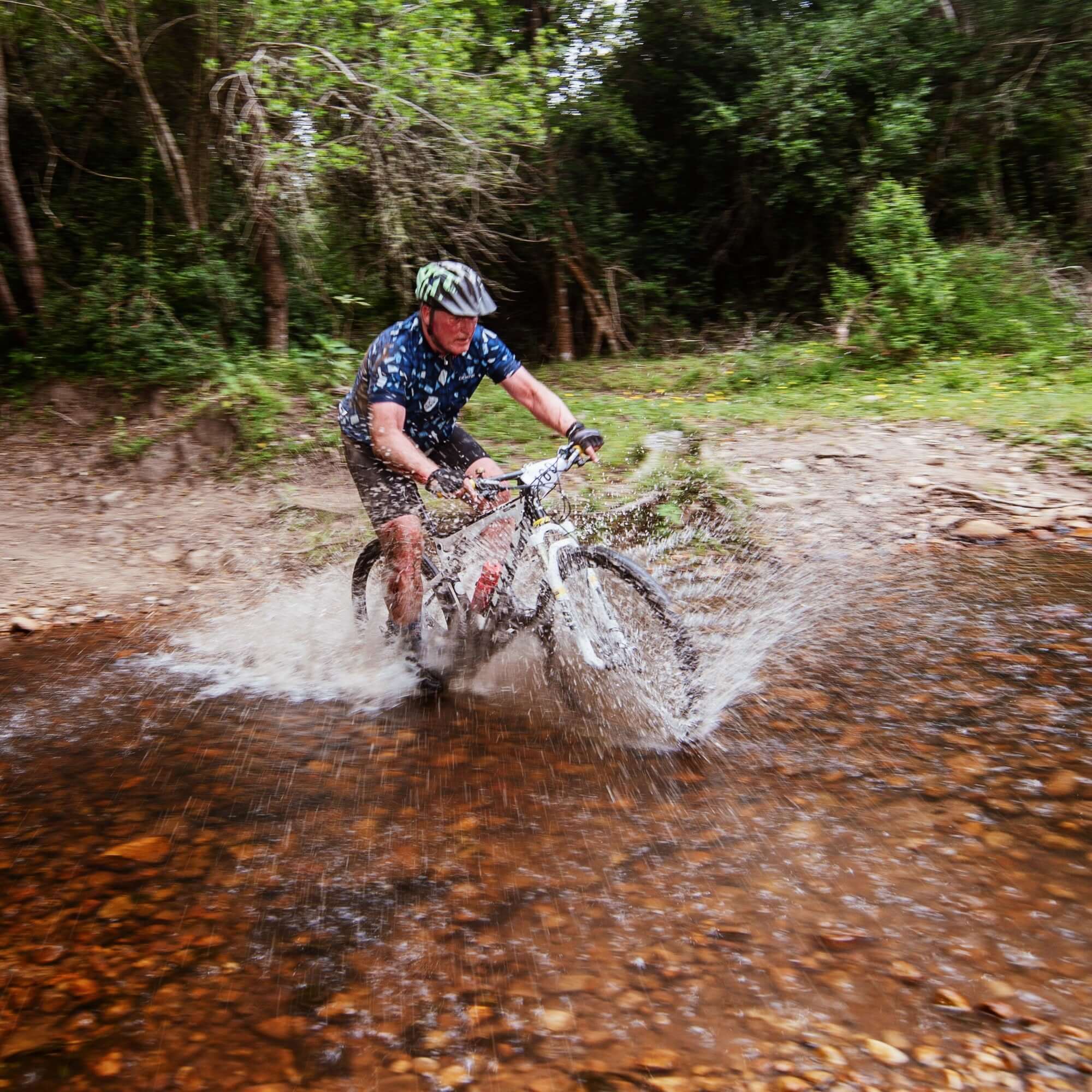 Seeff Tour de Plett